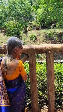 All Tigers at Nandankanan Zoo, Bhubhaneswar, Odisha #tigers #nandankanantour #nandankananzoo #odisha