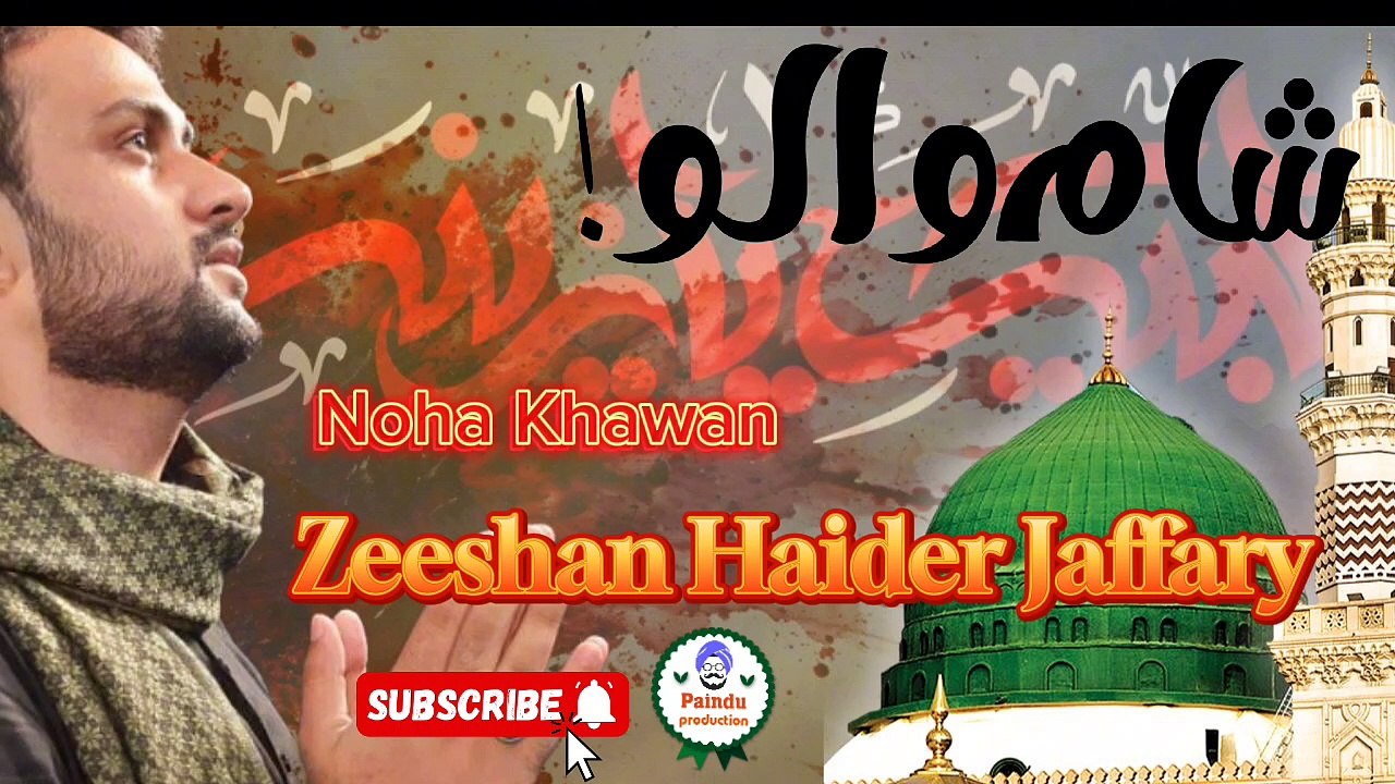 شام والو بیٹیاں ہیں یہ نبی کی نہ ستاؤ، سرائیکی نوحہ ، ذیشان حیدر جعفری ، نوحہ 2024