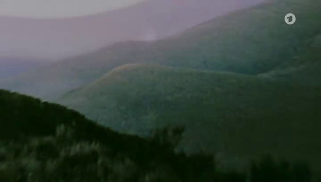 Für immer im Herzen