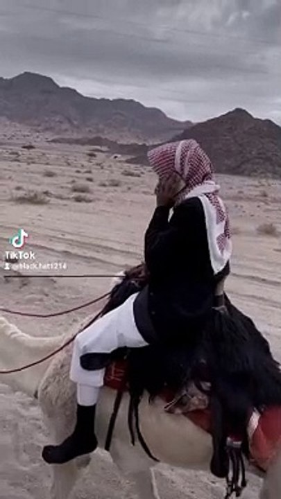 Camel riding