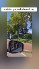 Deux femmes décollent des affiches