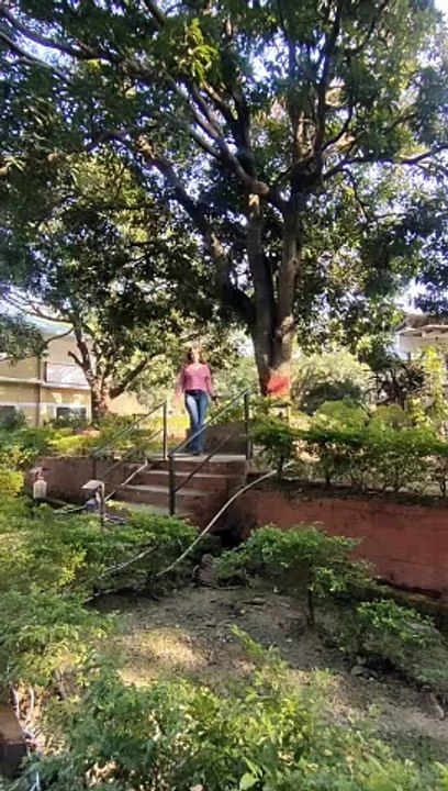 Resort - Tejomaya Jungle Retreat Location - Jim Corbett, Uttarakhand  A paradise for nature lovers & family getaways #resorts #jungleresort #jimcorbett #touristattraction #tejomayaresorts #ramnagaruttrakhand #explore