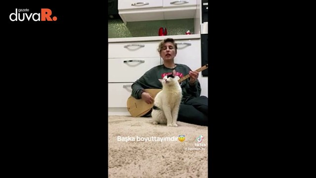 ‘Yaşamaz’ denilen engelli kedi, bir türküyle hayata tutundu