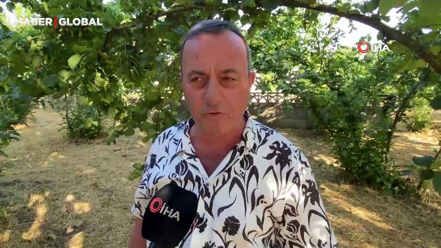 Ot biçerken buldu, çalışmayı durdurdu: Üstlerine yatarak kurtarmaya çalıştı