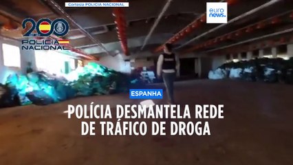 Polícia espanhola desmantela rede de tráfico de droga e apreende mais de 3.000 plantas de marijuana