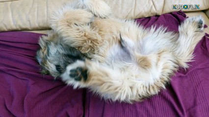 2 concours juin 2024