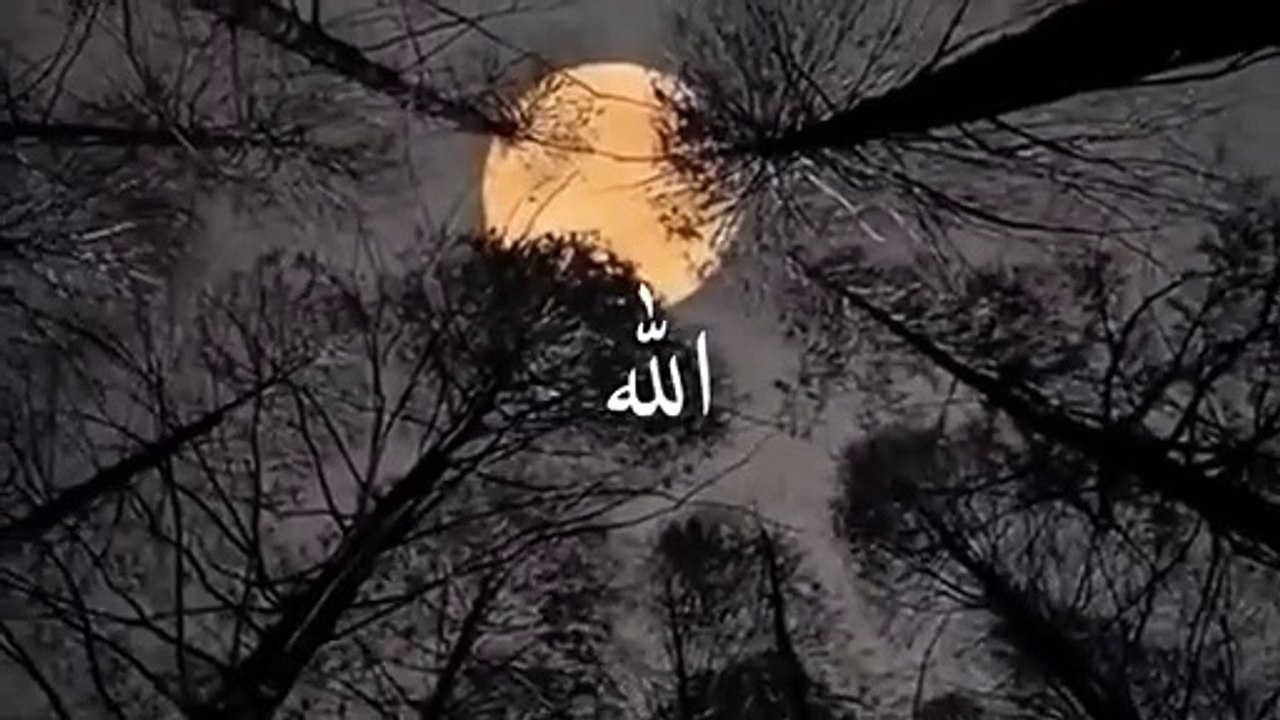 Most beautiful ❤️