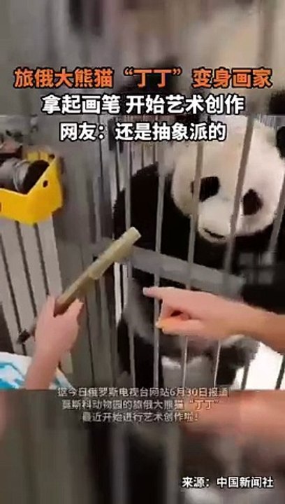 熊貓拿筆創作抽象畫。Panda created abstract paintings with pens.