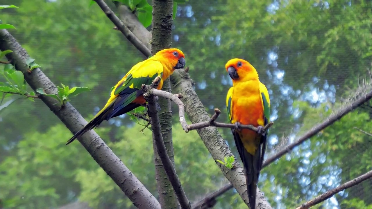 Epic Trek to the Hidden Peaks of Dima  Hasao!️Unforgettable Adv Through Assams Most Scenic Trails