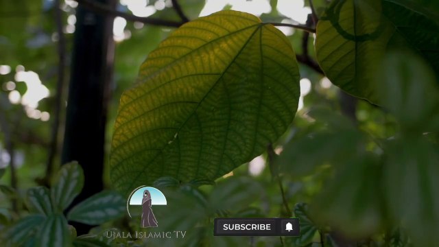 yajoj majoj ki qaid aur khroj _ qayamat _ Gog magog _ Hazrat Zulqarnain _ islamic stories