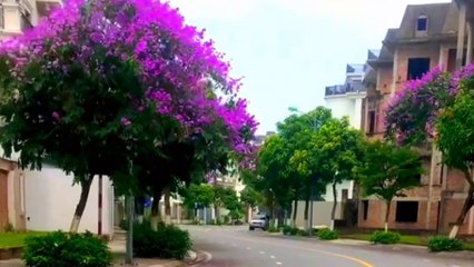 Gửi người tôi yêu - Tác giả Nguyễn Hữu Thiết