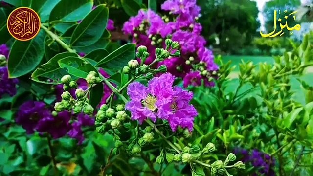 Manzil dua منزل دعا Islamic dua Kale Jadu Ka Tod dua for cure n protection of black magic_Karaoke