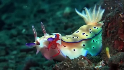 Breathe! HD Thriller – A Must-Watch English Movie 🎬