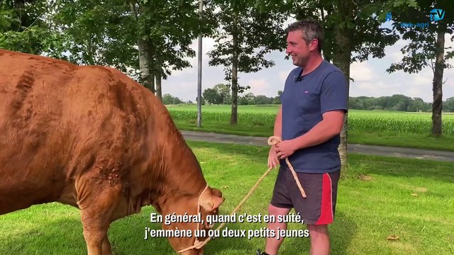 Ombre, grande championne du concours Limousin du Space 2023