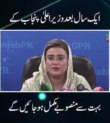 وزیر اعلی پنجاب کے منہ بولتے منصوبے