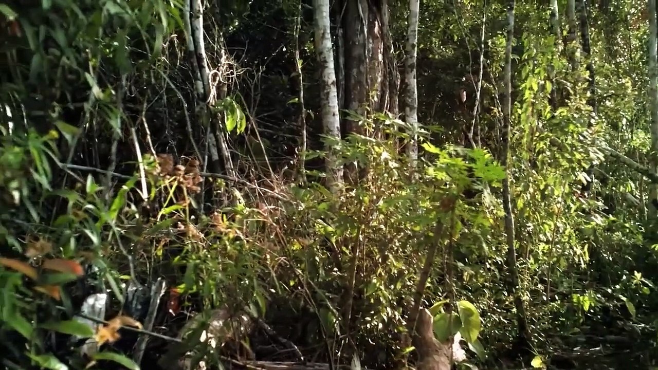 Jurassic Attack    Action Movie   HD - Movie