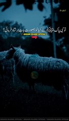 Huzoor_ﷺ_nay_farmaya_tum_isay_2_Mouten_dena_chahty_ho___Peer_Ajmal_Raza#hadees_#shorts_#shortvideo(480p)