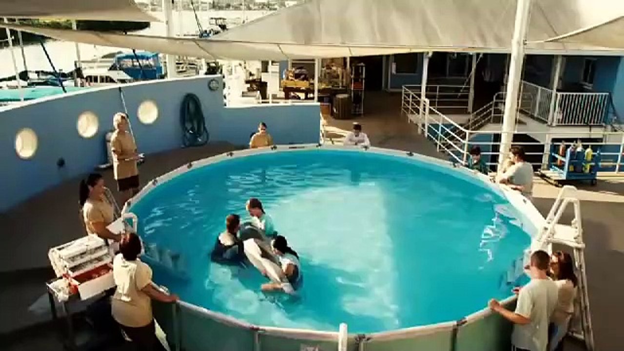 L'Incroyable Histoire de Winter le dauphin Bande-annonce (IT)