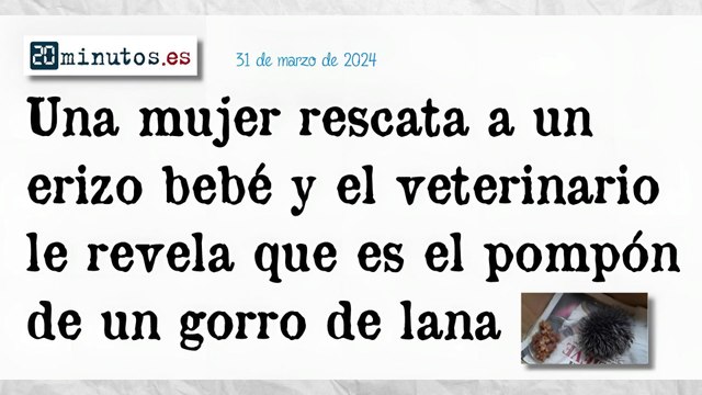 Recortes de prensa 42