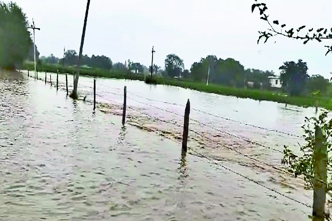खैरथल-तिजारा जिले में झमाझम बारिश से जलभराव : ब...