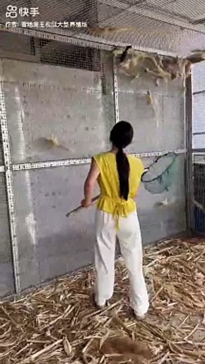 A girl catch pet