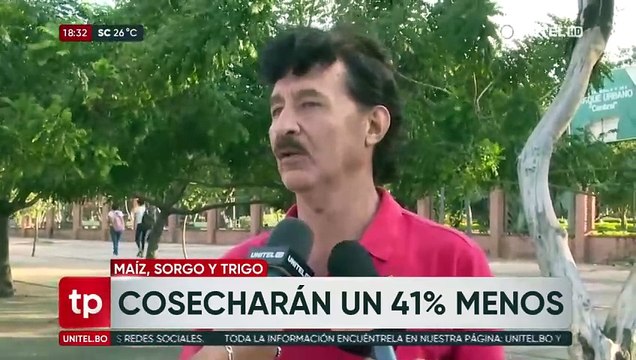 Productores prevén un déficit de cerca de 600.000 toneladas de maíz debido a la sequía