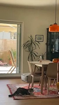 Κατερίνα Παπουτσάκη: Το ονειρεμένο σπίτι της στο κέντρο της Αθήνας, η πισίνα και τα ξύλινα έπιπλα