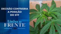 Santa Catarina reage à descriminalização do uso da maconha | LINHA DE FRENTE