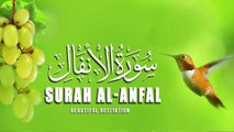 Best Soothing Recitation Of Surah Al-Anfal (The Spoils of War) | سورة ٱلأنفال  | Beautiful Recitation | Quran |quran |Tilawat