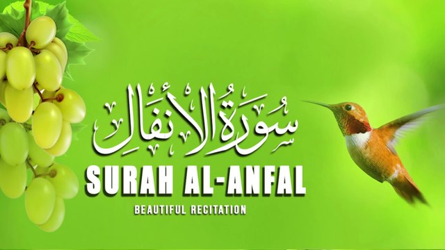 Best Soothing Recitation Of Surah Al-Anfal (The Spoils of War) | سورة ٱلأنفال | Beautiful Recitation | Quran |quran |Tilawat