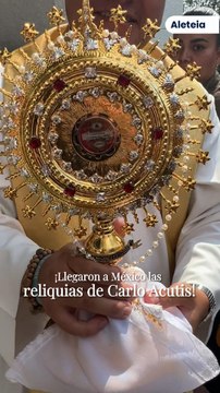 ¡Llegaron a México las reliquias de Carlo Acutis!
