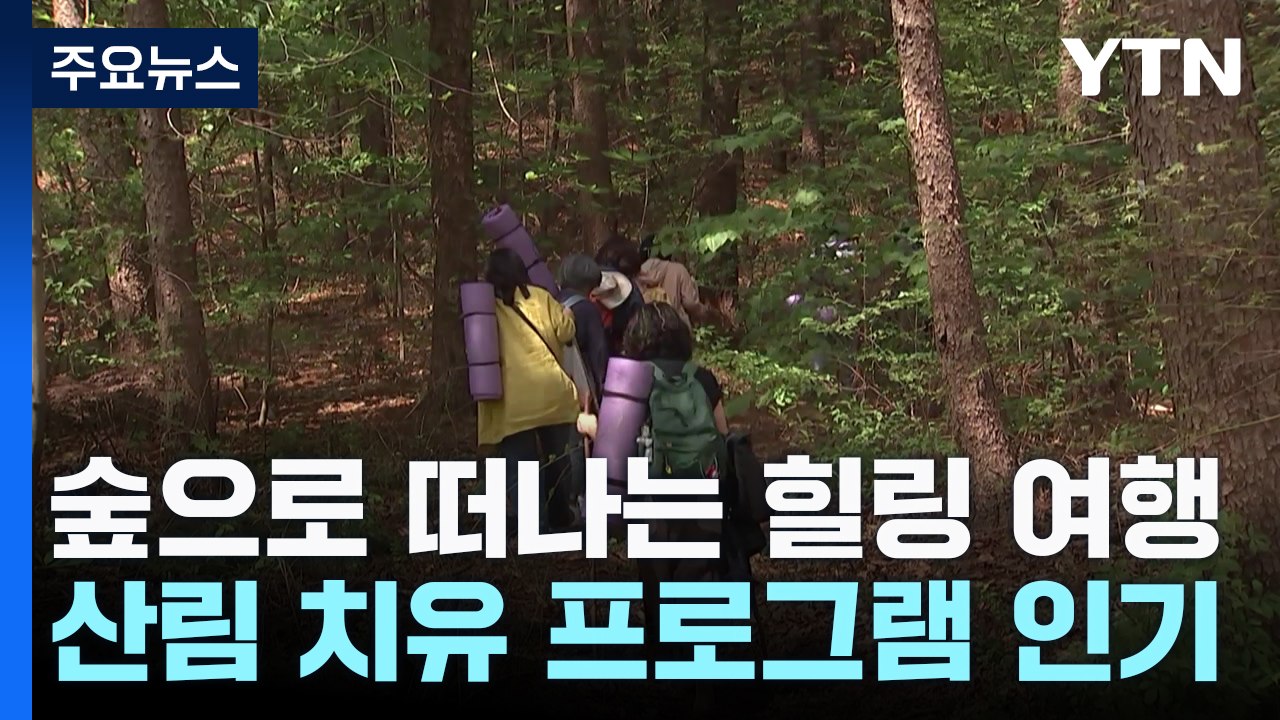 숲으로 떠나는 힐링 여행...산림 치유 프로그램 인기 / YTN