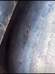 Prefeitura de Ipirá mantém ônibus sucateado para transporte escolar