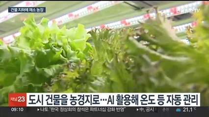 장마철 채솟값 폭등 대안은…빌딩 속 '수직농장' 주목
