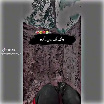 ye look look roven gy ye book book roven gy