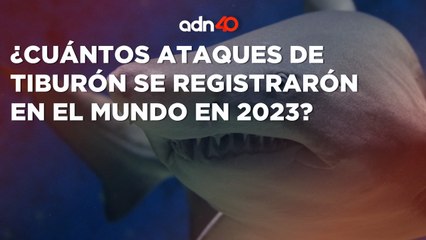 ¿Cuántos ataques de tiburón se registraron en el mundo durante 2023?I Ruleta Informativa