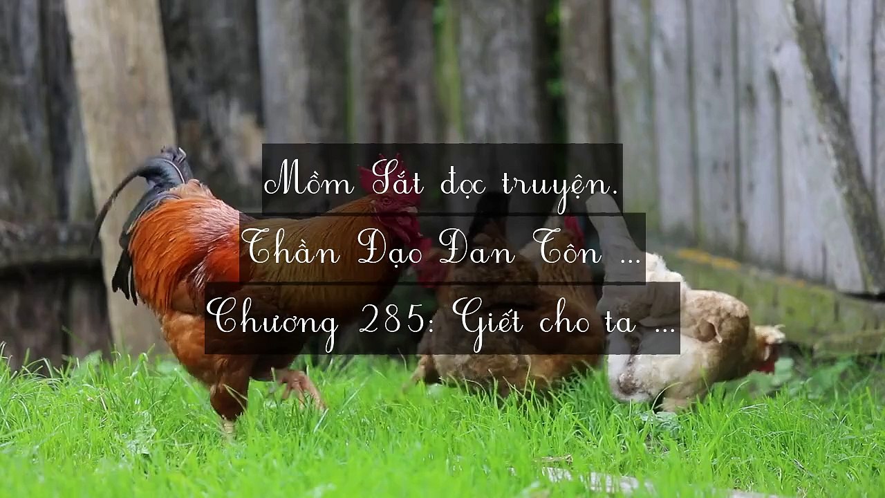 Chương 281-290: Thần Đạo Đan Tôn