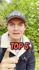 TOP 5 Top 5 Must-Do Activities in Bucharest 🇷🇴