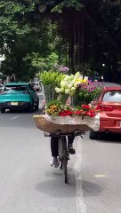 Good Morning l Nature l Flowers