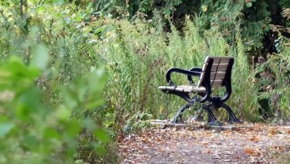 Romantic Love Song in Hindi I सपनों की राह पे I #musicvideo