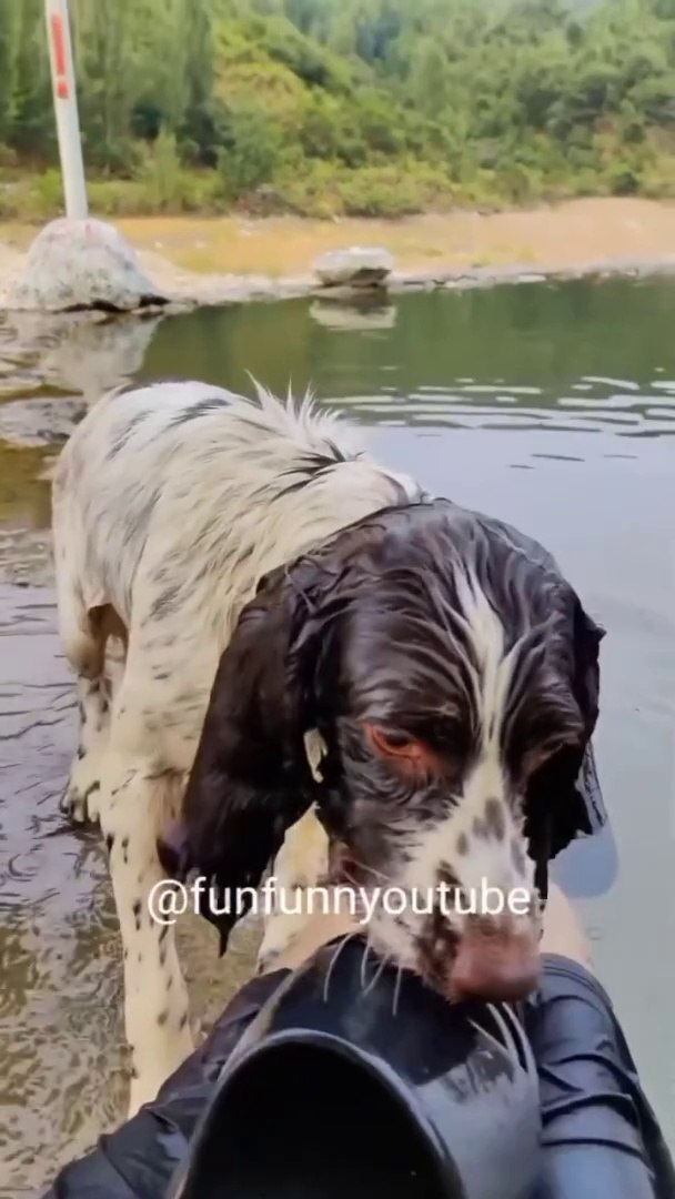 Comedy video with  #funny#comedy