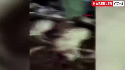 Yıldırım düşmesi sonucu 76 koyun öldü