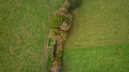 Bocage, nos haies communes