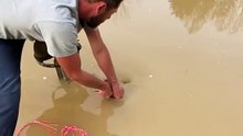 Kind man rescued this poor turtle from the pond