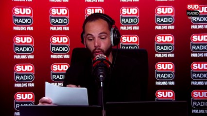 Les animaux en vacances