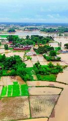 My village after rain 