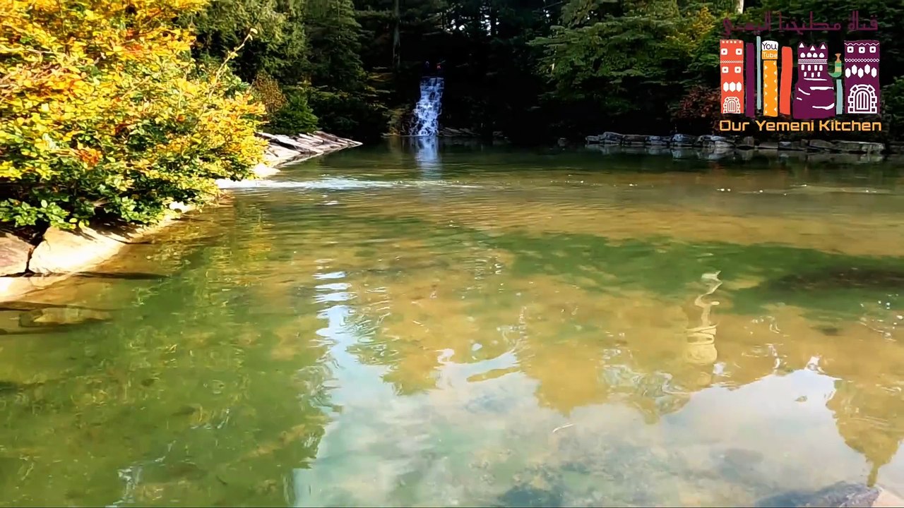 - طبخ اسهل وأسرع وصفة كفته كباب بدون فرن مع الصوصات kofta kebab has never been so easy and delicious