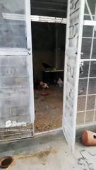 Say Ma sha Allah ❤️