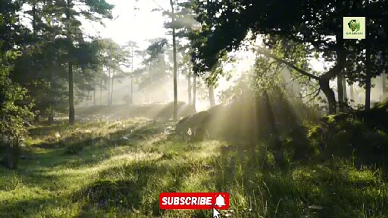 Sahih Bukhari Hadees No. 317 318 | Hadees Nabvi in Urdu | Shan E Quran world