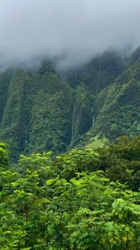 LES PLUS BELLES randos nature à faire à Hawaï